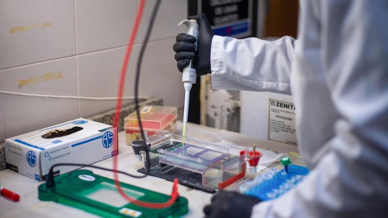 Hantavirus, perché non ci sarà un’altra pandemia