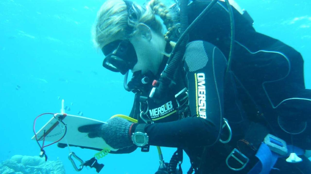 La strage dei sub italiani alle Maldive, le ipotesi: senza più orientamento, incastrati o avvelenati