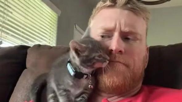 Carlos, il gatto che ha deciso di conquistare l’unica persona a cui “non piacciono i gatti