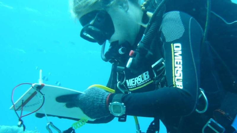 Intossicazione, panico o errore umano: i misteri all’origine della tragedia alle Maldive