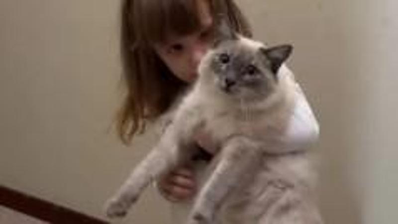 Sol e il suo rapporto speciale con la piccola Isis: “E poi dicono che i gatti non sono affettuosi”