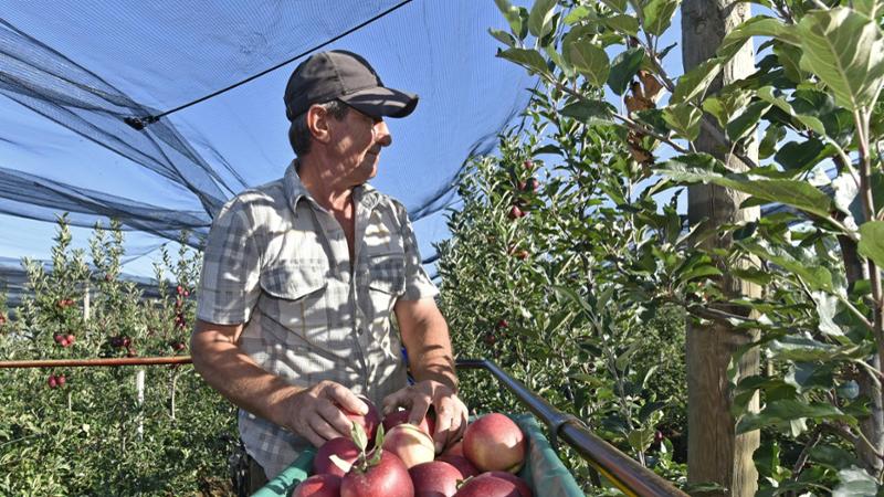 La crisi nei campi: così dazi e tensioni geopolitiche fanno schizzare i costi per le aziende