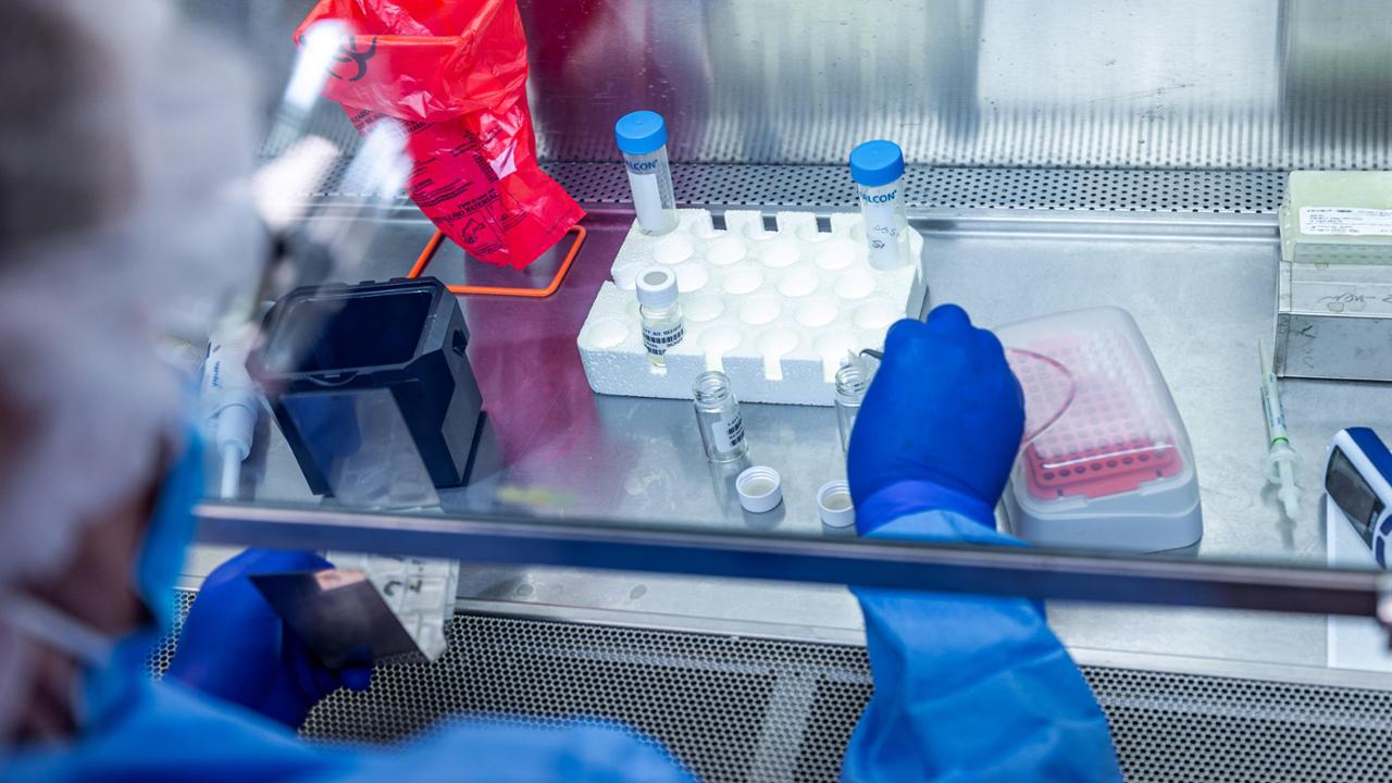 Hantavirus a Casale Monferrato: l’episodio del 2010 diventò un caso di studio