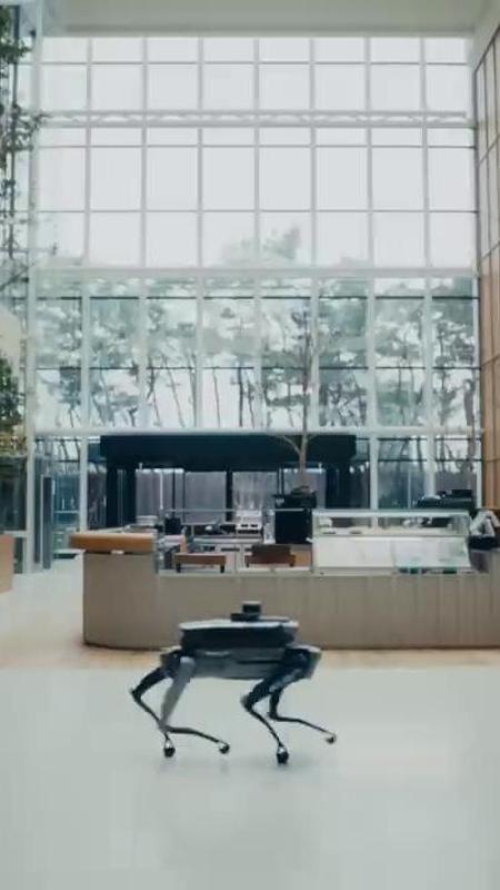 I robot entrano in servizio: la rivoluzione parte dal quartier generale della Hyundai in Corea del Sud