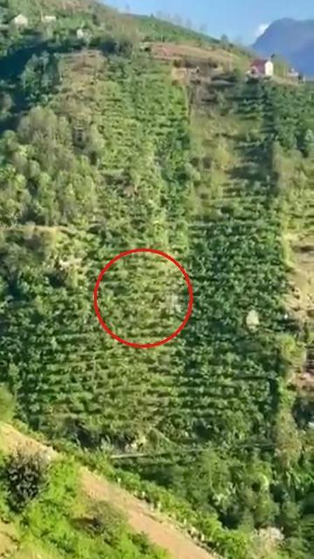 Turchia, un pick-up cade nel burrone: le immagini del volo di 400 metri