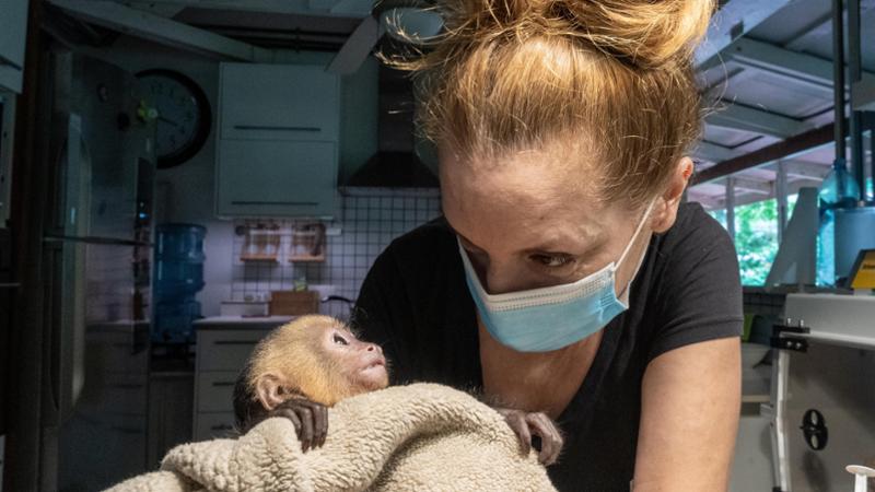 “Addestriamo i volontari in Costa Rica per difendere l’ecosistema più prezioso del mondo dall’assalto dei turisti”