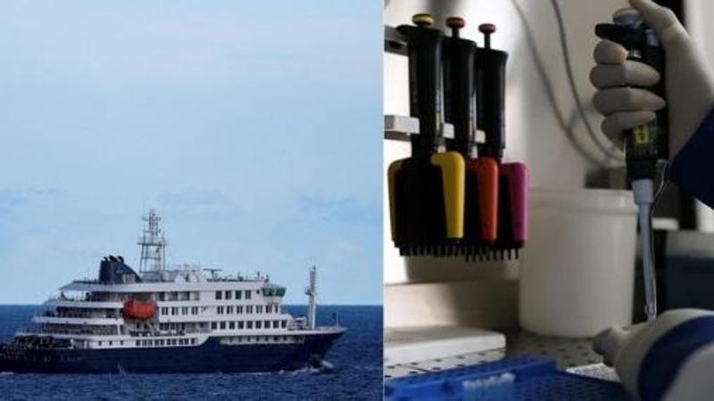Hantavirus, i casi salgono a 12: è positivo un membro dello staff della Hondius sbarcato a Tenerife