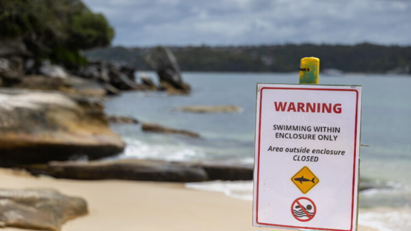 Australia, 39enne ucciso da uno squalo nel Queensland
