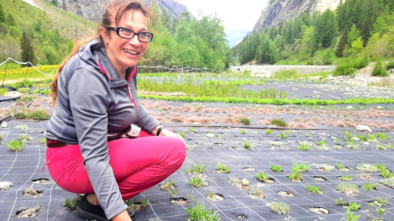 Emy, la Signora del Génépy: “Meglio i campi dell’ufficio”