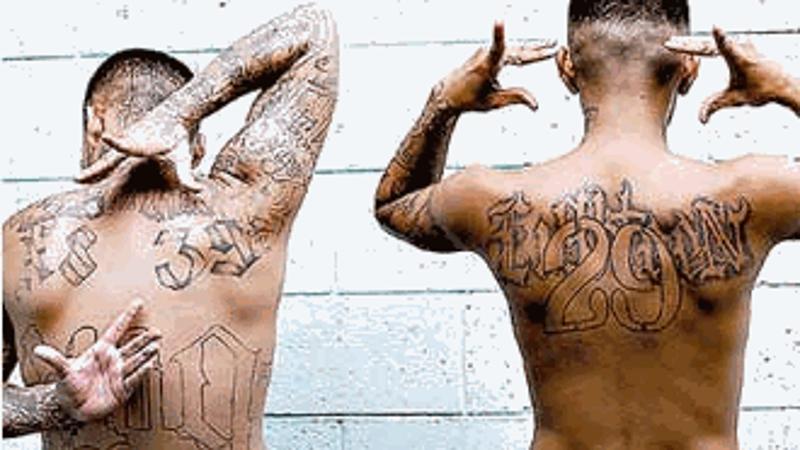 Il poliziotto anti-pandillas: “Ma quali baby gang, hanno imparato i codici della nostra mafia”
