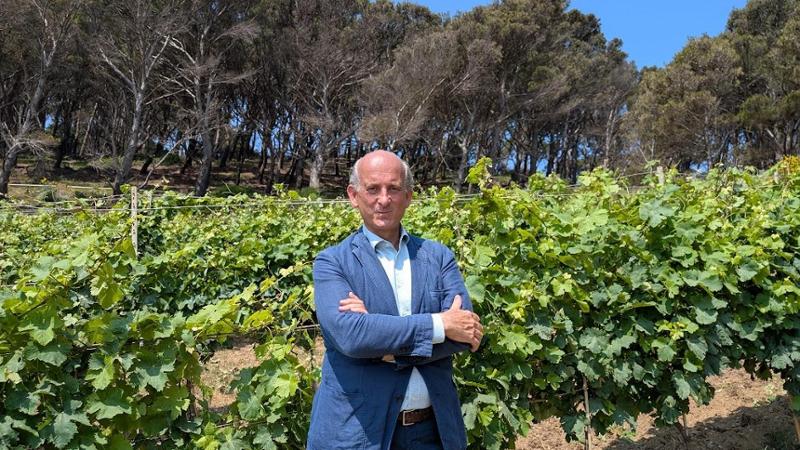Vino, cantine piene e consumi in calo: via libera delle aziende a ridurre la produzione