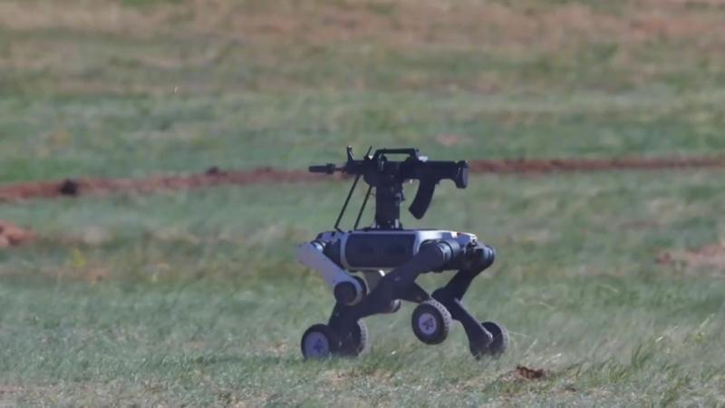 I “lupi robot” della Cina in esercitazione con la Mongolia: ecco come avanzano e aprono il fuoco