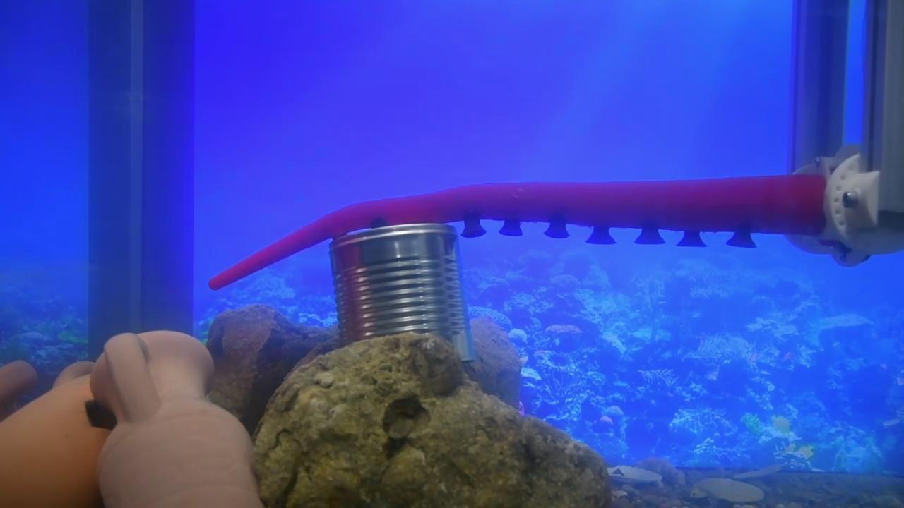 Dall'oceano il robot-polpo che lavora anche in mare: ventose