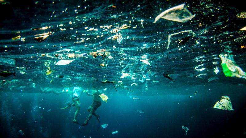 Pfas e batteri resistenti agli antibiotici. Così l’inquiname