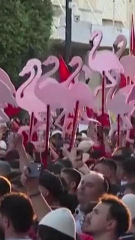 Albania, la "rivolta dei fenicotteri" contro il resort della famiglia Trump nella riserva naturale