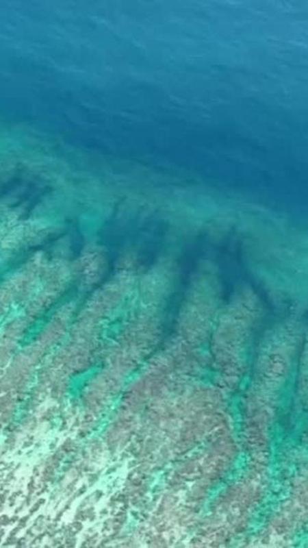 Cina, scoperta una rara voragine marina corallina a Huangyan Dao: ecosistema di oltre 3.000 anni