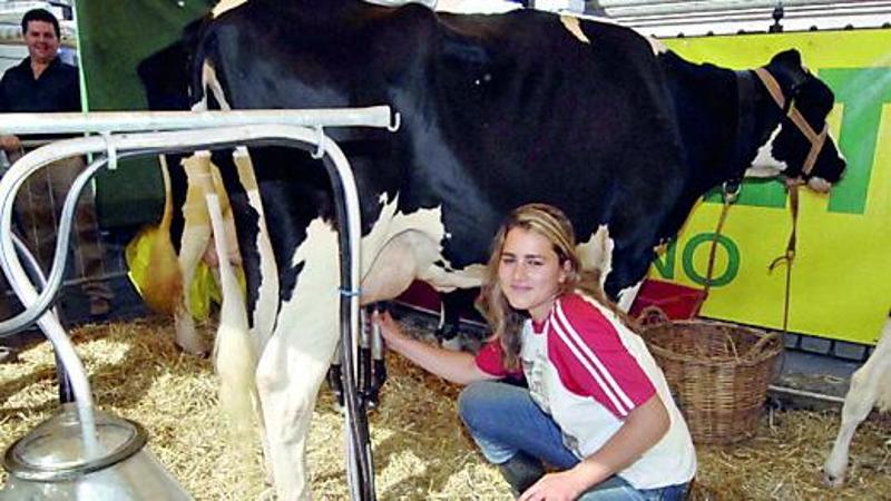 I produttori di latte sempre più in crisi per il crollo dei prezzi