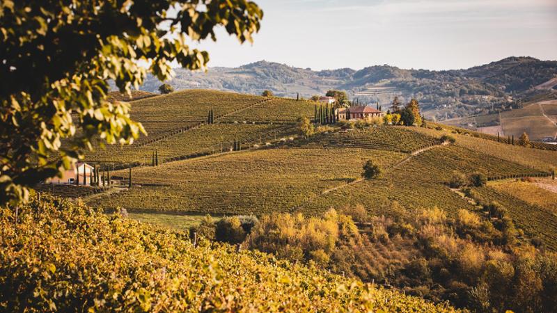 Costituzione del Consorzio del Nizza Docg