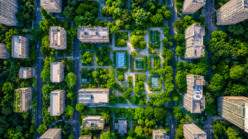 Per gli ambienti urbani gli alberi sono (in genere) una benedizione. Tuttavia, non sempre
