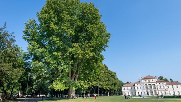 Torino, la città che resiste al raffreddamento