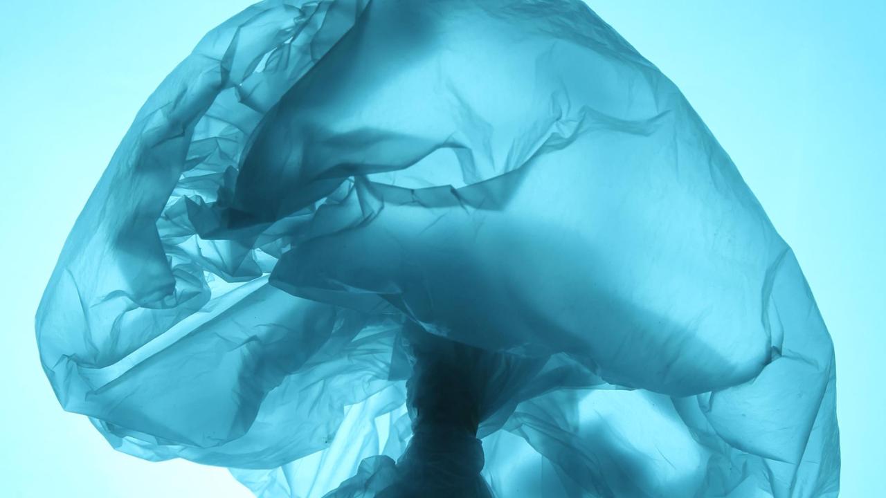 Tutto ciò che finisce negli oceani lo ritroviamo sul piatto
