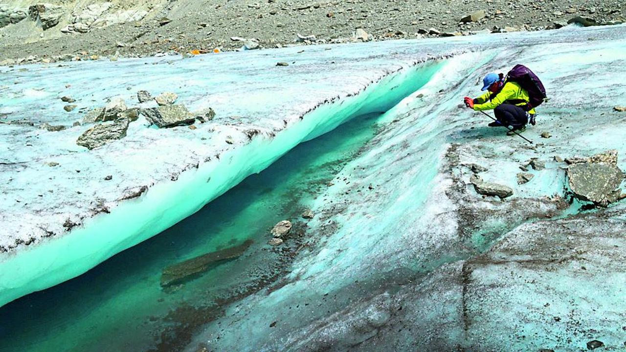 Afa, mosche e zanzare in vetta: “Così la crisi climatica stravolge i nostri ghiacciai”