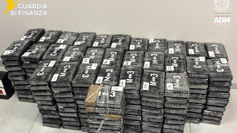 Tre quintali di cocaina nascosti tra i platani, maxi sequestro della Finanza al porto di Vado Ligure