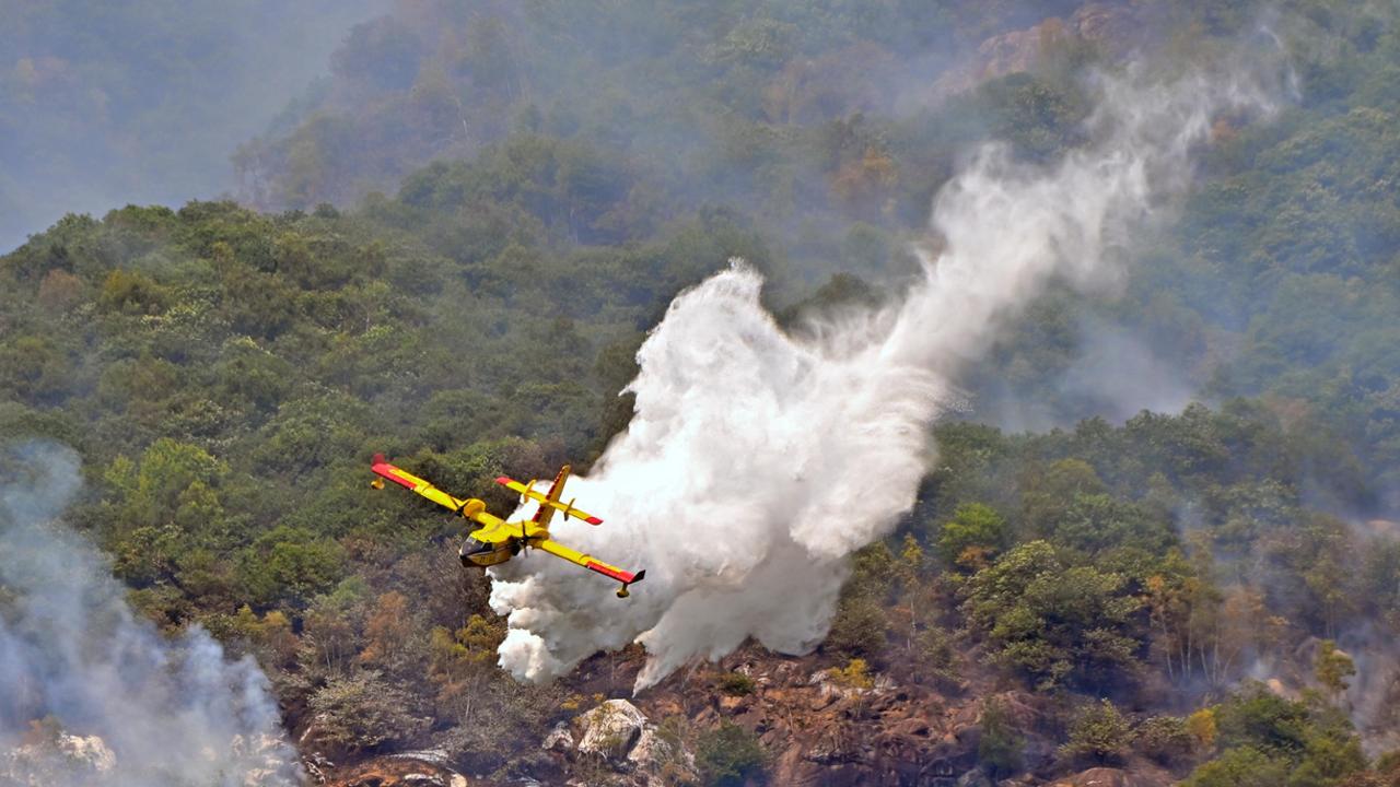 Incendi in Piemonte, 700 mila alberi perduti: “Catastrofe ecologica”