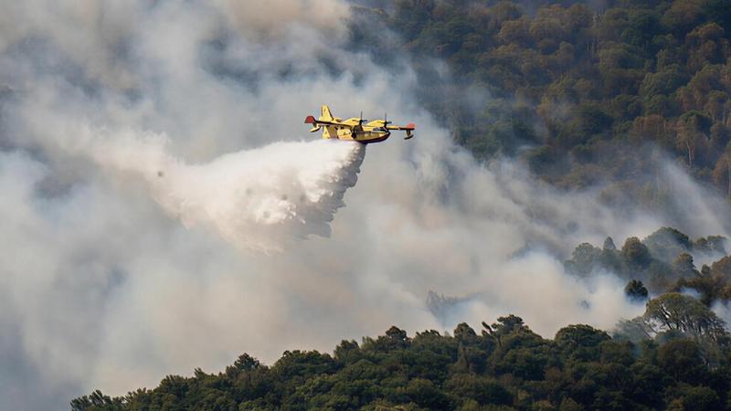 Vineis: “La crisi climatica è una pandemia. E i fragili pagano il prezzo più alto”