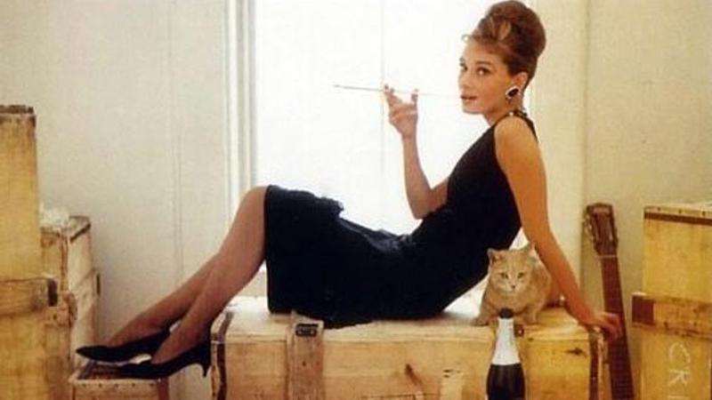 Il gatto demone e santo dal Medioevo a oggi
