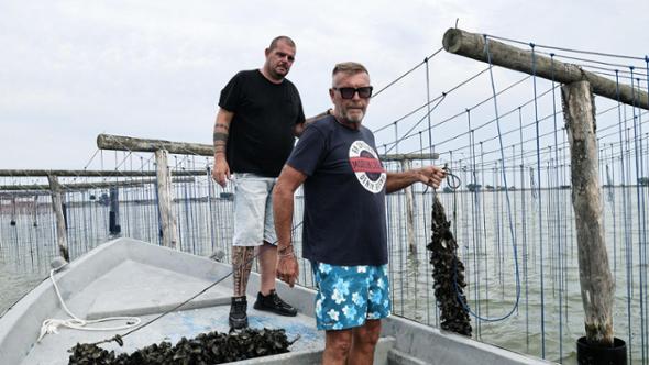 Nel Delta del Po che soffoca: “La Laguna è un brodo, muoiono anche le cozze”