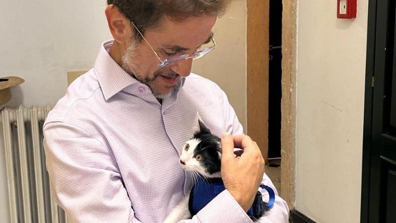 Pielle, star del web: da gattino trovatello  a mascotte della polizia locale