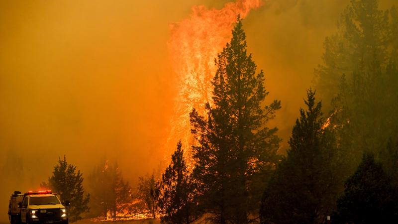 Incendi in Francia e Spagna, oltre 300mila persone senza casa. Le fiamme a 15 km da Bordeaux