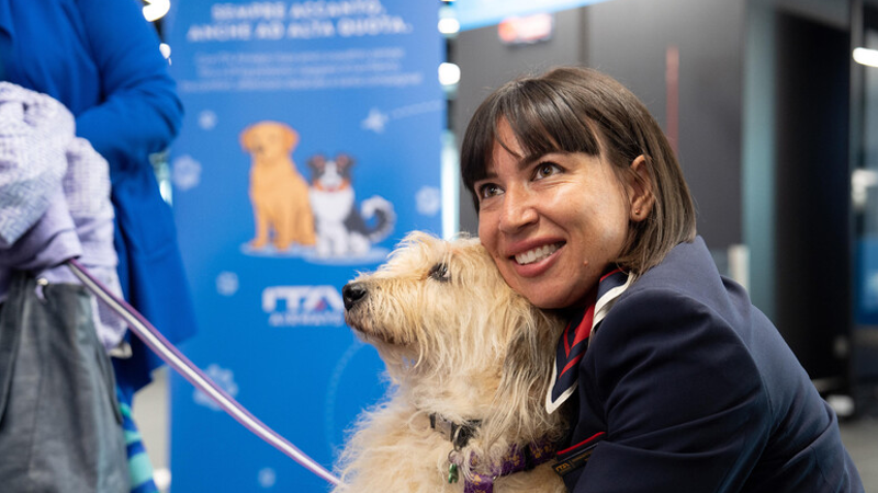 Ita Airways apre la cabina ai cani fino a 30 chili: dal 3 agosto viaggeranno senza trasportino