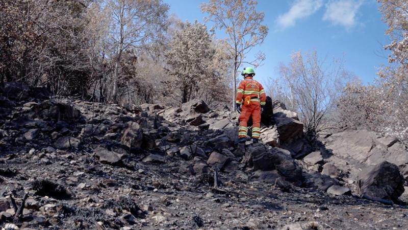 I guardiani dei boschi: viaggio nelle montagne del Piemonte devastate dal fuoco