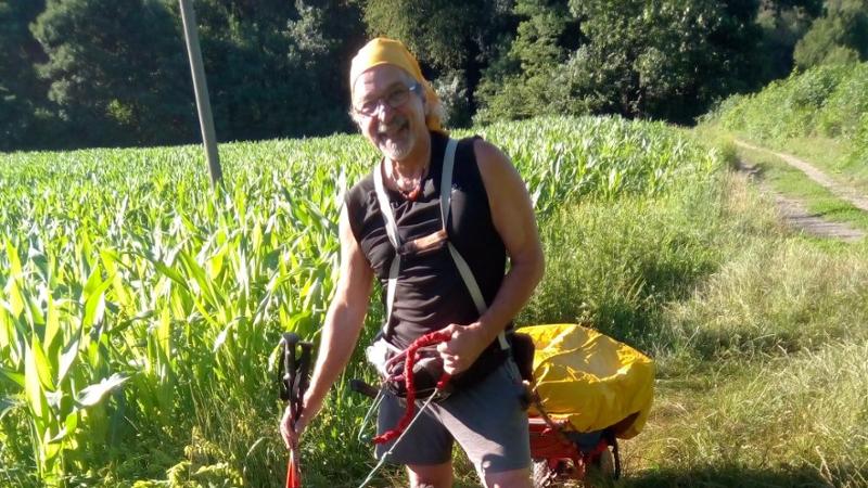 Un calabrone lo punge in giardino: muore un ornitologo