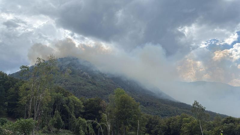 Incendio a Valdieri, le fiamme arrivano in Valle Stura: “Gli alberi diventano benzina”