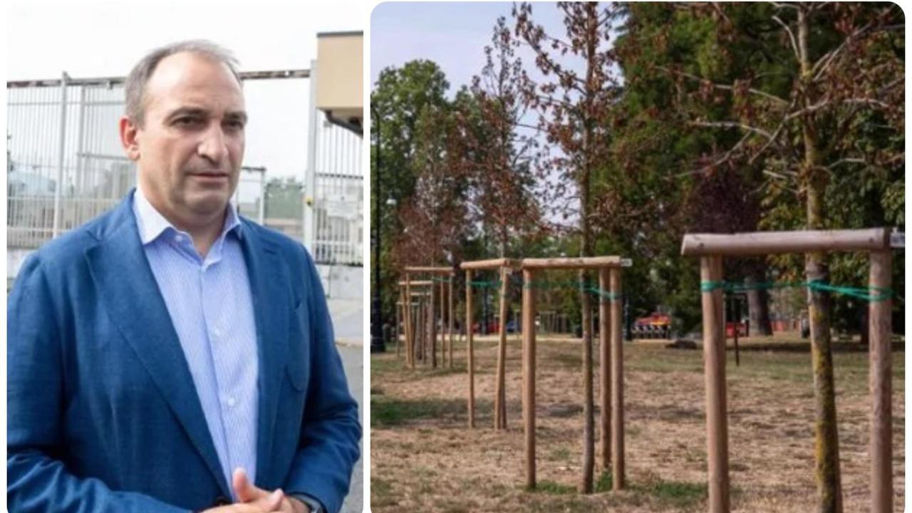 Il sindaco di Torino: “Alberi già secchi col clima cambiato, dobbiamo ripensare la città”