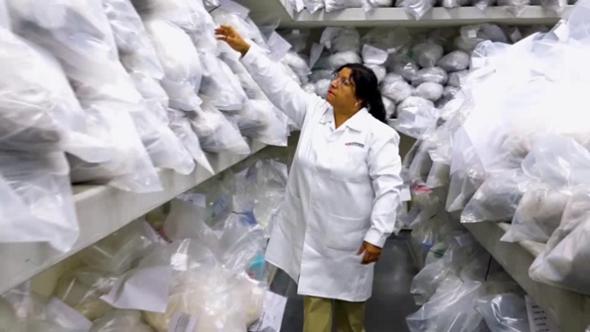 Il magazzino custodisce 9,3 tonnellate di droga sequestrata: ecco come viene distrutta
