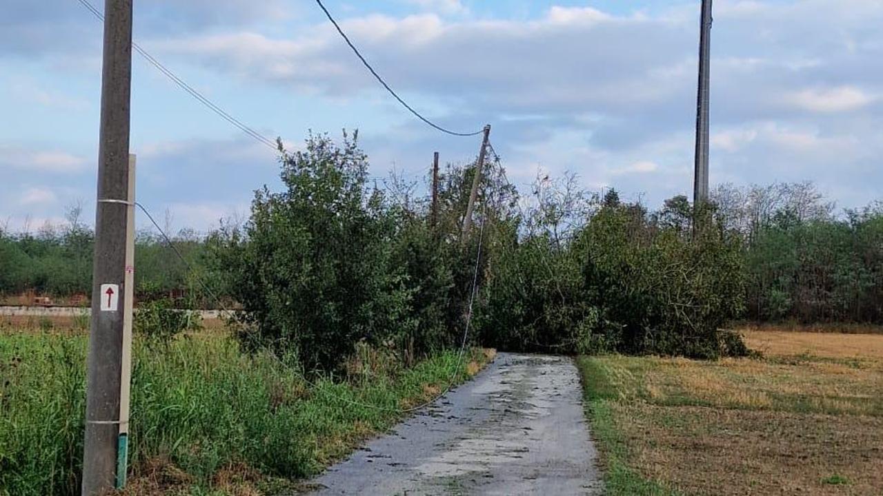 Violento temporale sul Vercellese, case scoperchiate e danni alle coltivazioni di riso