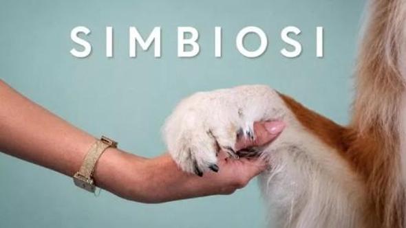 Simbiosi. Vite condivise tra cani e umani - Il documentario