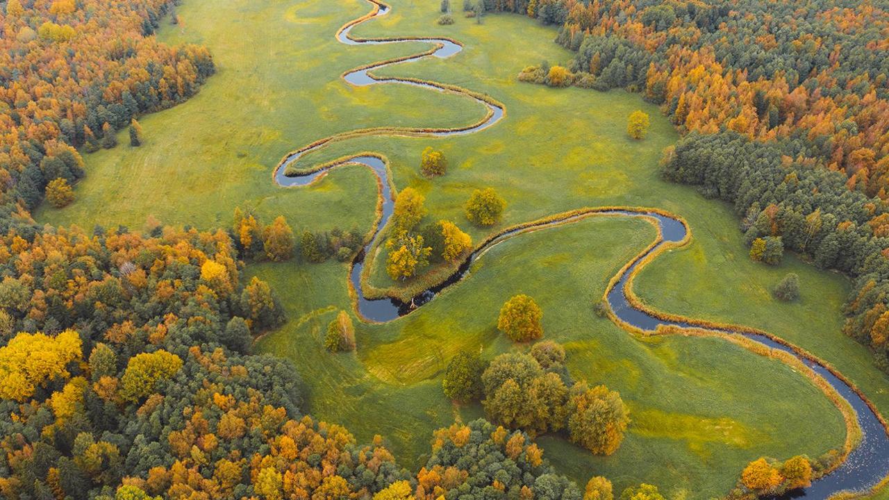 Autunno in vista. La piccola Estonia punta al primato dei colori di un foliage che è anche cultura popolare