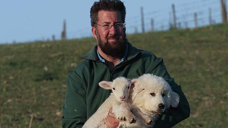 Capogrosso, allevatore dei cani anti-lupo: “Vado in Australia per bloccare il dingo”
