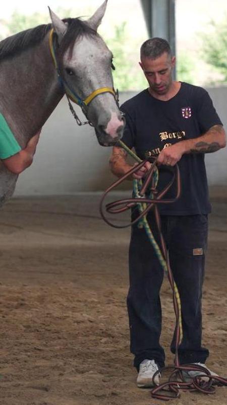 Perché un video sui social può far eliminare un cavallo dal Palio di Asti