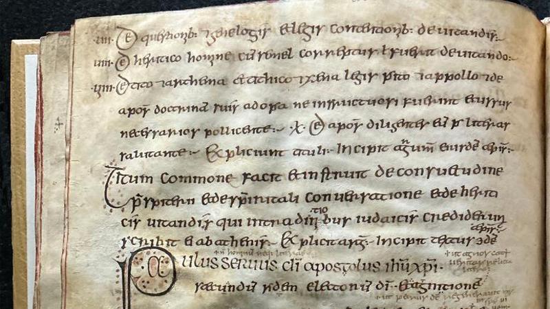 Un virus di 3.700 anni fa nascosto nelle pergamene medievali: ecco perché