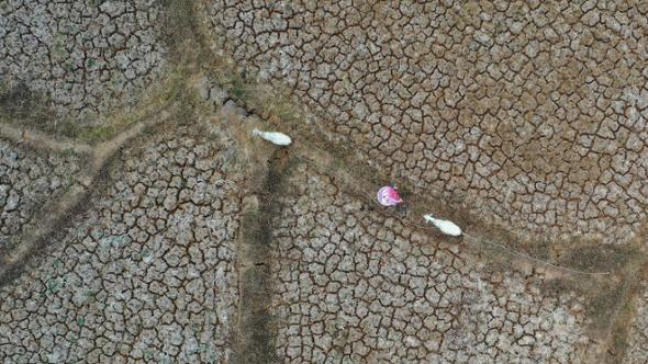 Super El Niño, i dati che allarmano: rischio 450 mila morti nei prossimi 6 mesi