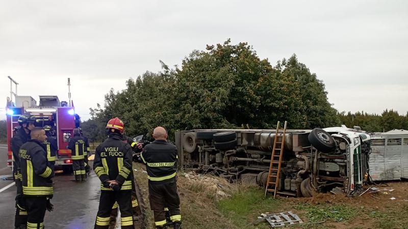 Il dramma di Piero e Macki, morti nel terribile schianto fra i camion che guidavano
