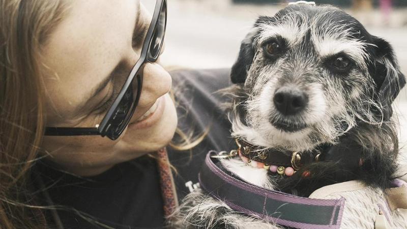 Il cane Clotilde Maria attende quattro anni una famiglia. Poi Ana l’ha visto e ha detto “Ti voglio”
