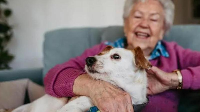 “Vivere con un cane riduce il rischio di demenza del 48 per cento: ecco cosa ha scoperto la scienza