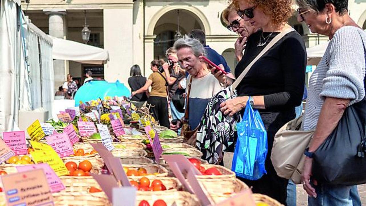 Terra Madre, dall’orzo in soffitta agli orti rupestri: così rinascono i semi antichi ritrovati 